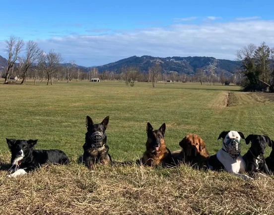 Gruppentraining